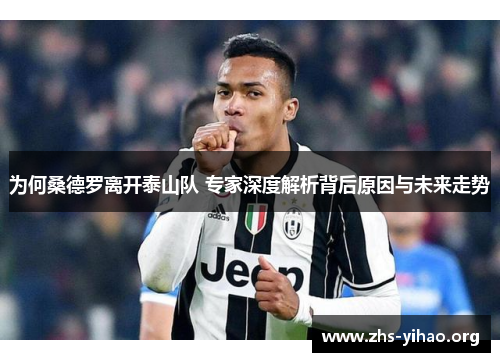 为何桑德罗离开泰山队 专家深度解析背后原因与未来走势
