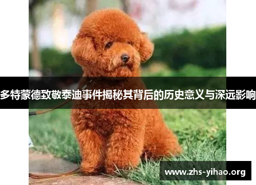 多特蒙德致敬泰迪事件揭秘其背后的历史意义与深远影响