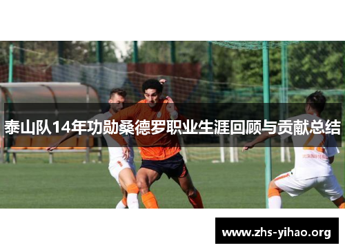 泰山队14年功勋桑德罗职业生涯回顾与贡献总结