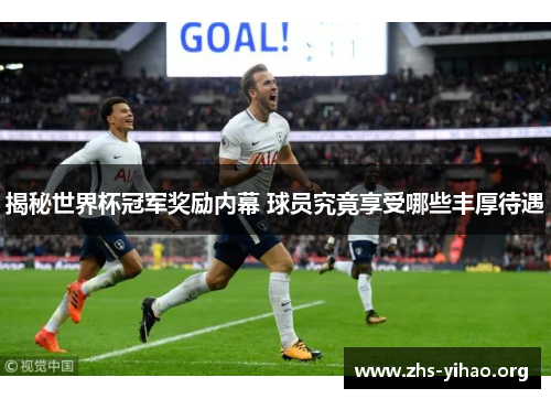 揭秘世界杯冠军奖励内幕 球员究竟享受哪些丰厚待遇
