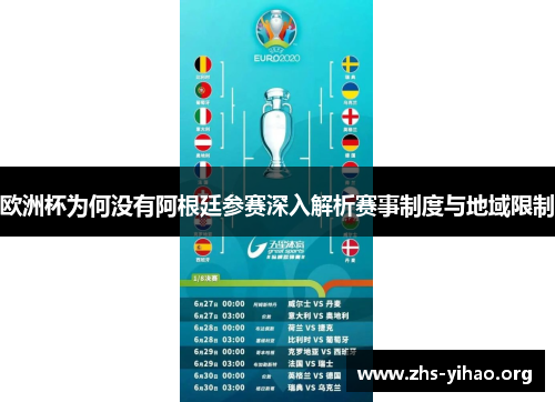 欧洲杯为何没有阿根廷参赛深入解析赛事制度与地域限制