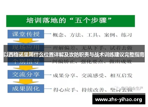 以西格诺里踢什么位置详解及攻防职责与战术训练建议完整指南