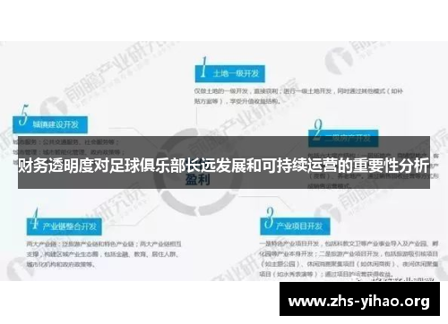 财务透明度对足球俱乐部长远发展和可持续运营的重要性分析