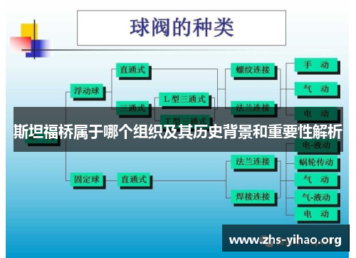 斯坦福桥属于哪个组织及其历史背景和重要性解析